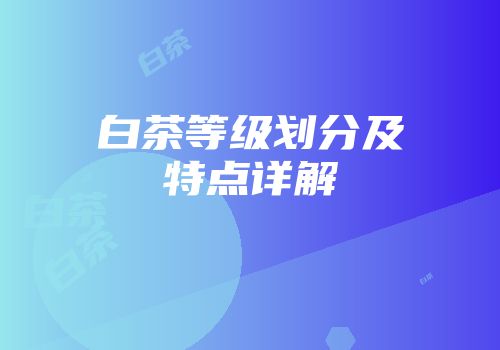 白茶等级划分及特点详解