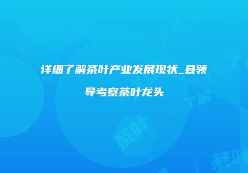 详细了解茶叶产业发展现状_县领导考察茶叶龙头