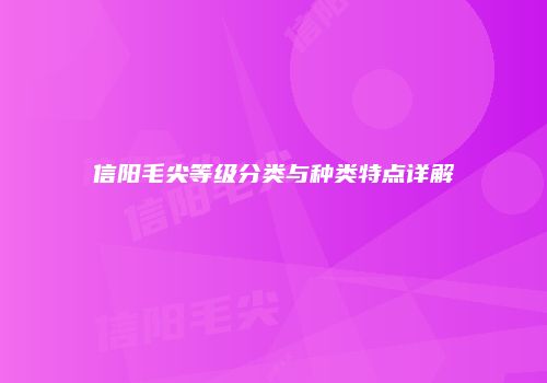 信阳毛尖等级分类与种类特点详解