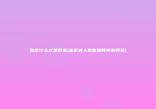 到底什么才是好茶(品茶达人教你如何辨别好茶)