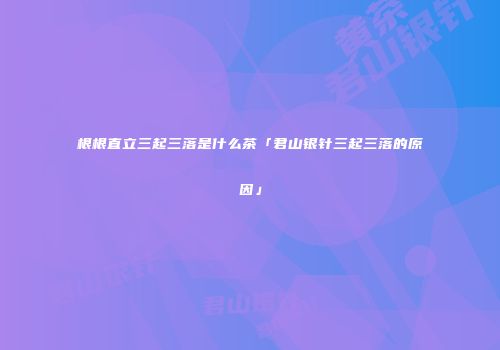 根根直立三起三落是什么茶「君山银针三起三落的原因」