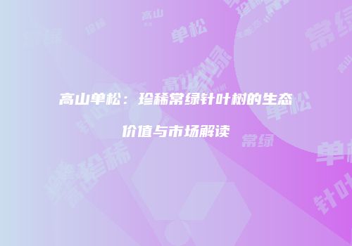 高山单松：珍稀常绿针叶树的生态价值与市场解读