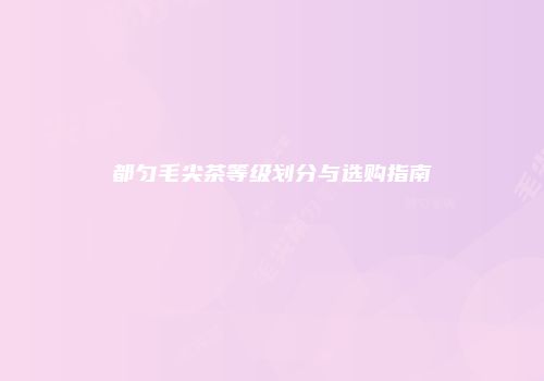都匀毛尖茶等级划分与选购指南