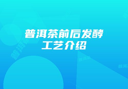 普洱茶前后发酵工艺介绍
