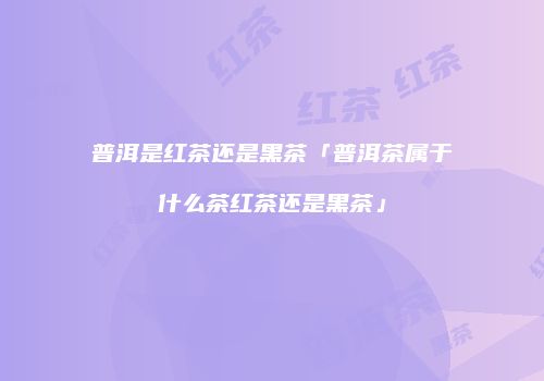 普洱是红茶还是黑茶「普洱茶属于什么茶红茶还是黑茶」