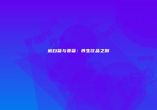 杭白菊与贡菊：养生饮品之别