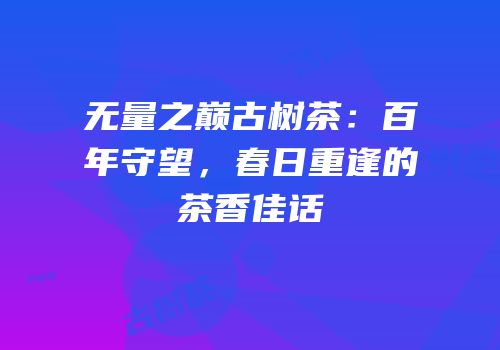 无量之巅古树茶：百年守望，春日重逢的茶香佳话