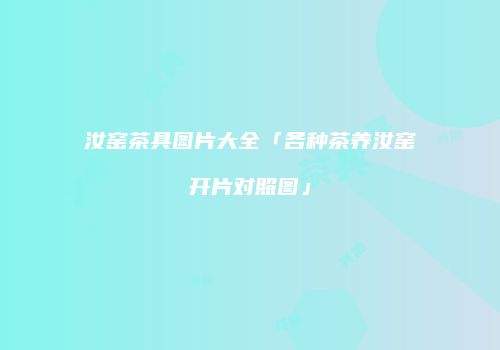 汝窑茶具图片大全「各种茶养汝窑开片对照图」
