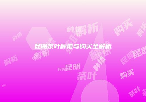 昆明茶叶种植与购买全解析