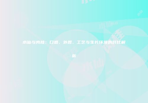 水仙与肉桂：口感、外观、工艺与生长环境的对比解析