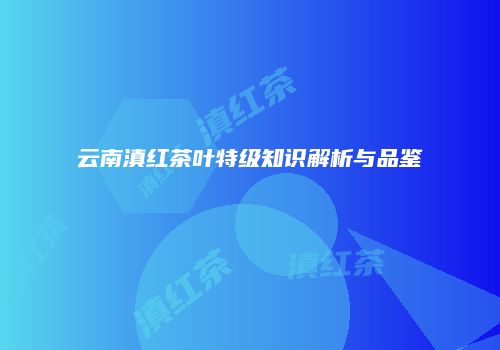 云南滇红茶叶特级知识解析与品鉴