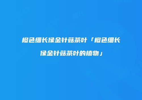 橙色细长像金针菇茶叶「橙色细长像金针菇茶叶的植物」