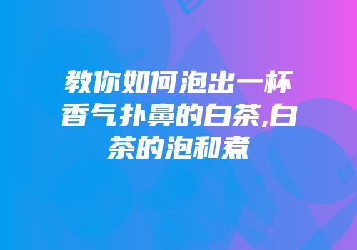 教你如何泡出一杯香气扑鼻的白茶,白茶的泡和煮