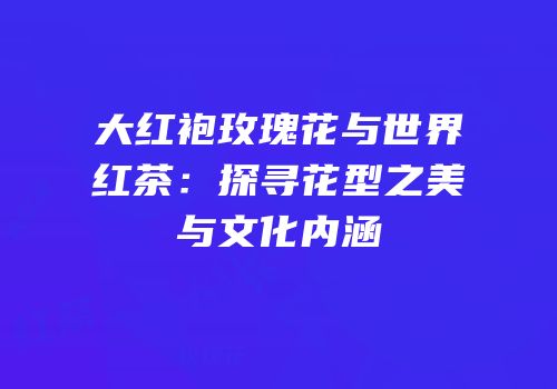 大红袍玫瑰花与世界红茶：探寻花型之美与文化内涵