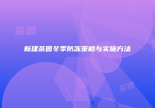 新建茶园冬季防冻策略与实施方法