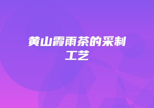 黄山霞雨茶的采制工艺