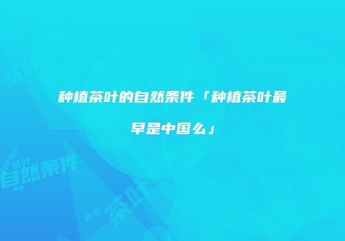 种植茶叶的自然条件「种植茶叶最早是中国么」