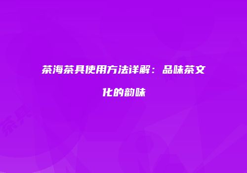 茶海茶具使用方法详解：品味茶文化的韵味