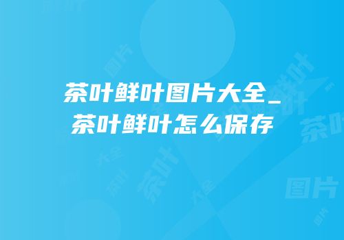 茶叶鲜叶图片大全_茶叶鲜叶怎么保存