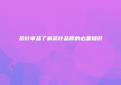 茶叶审品了解茶叶品质的必备知识