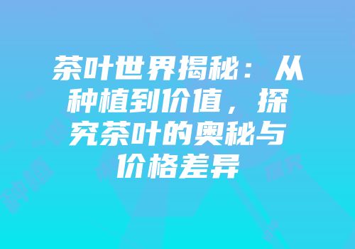 茶叶世界揭秘：从种植到价值，探究茶叶的奥秘与价格差异