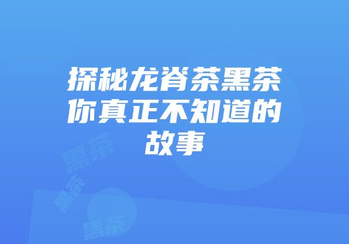 探秘龙脊茶黑茶你真正不知道的故事