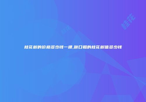 桂花树的价格多少钱一棵,碗口粗的桂花树值多少钱