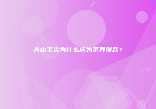 大山毛尖为什么成为茶界爆款？