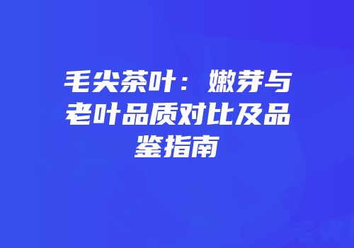 毛尖茶叶：嫩芽与老叶品质对比及品鉴指南