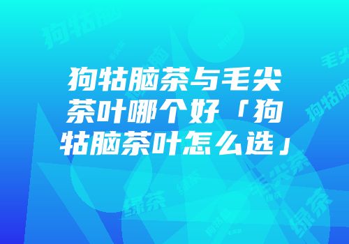 狗牯脑茶与毛尖茶叶哪个好「狗牯脑茶叶怎么选」