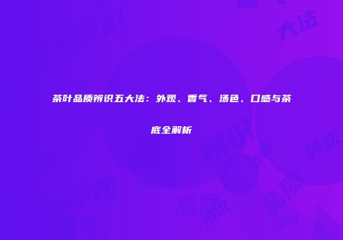 茶叶品质辨识五大法：外观、香气、汤色、口感与茶底全解析