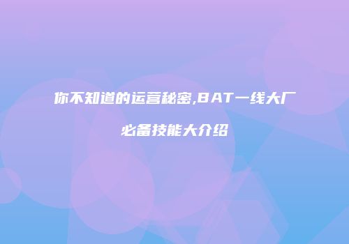 你不知道的运营秘密,BAT一线大厂必备技能大介绍
