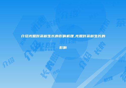 介绍光照对茶树生长的影响机理,光照对茶树生长的影响