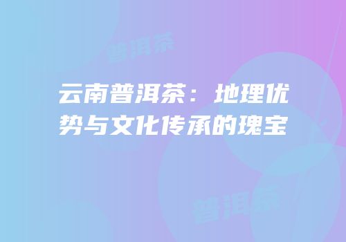 云南普洱茶：地理优势与文化传承的瑰宝