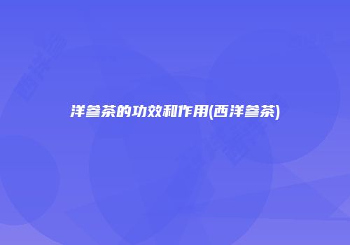 洋参茶的功效和作用(西洋参茶)