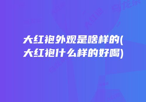 大红袍外观是啥样的(大红袍什么样的好喝)