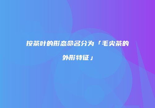 按茶叶的形态命名分为「毛尖茶的外形特征」