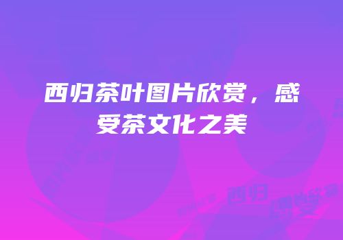 西归茶叶图片欣赏，感受茶文化之美