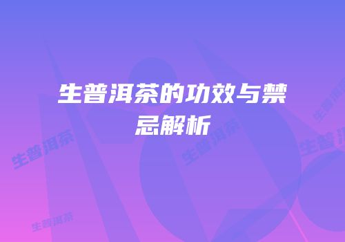 生普洱茶的功效与禁忌解析