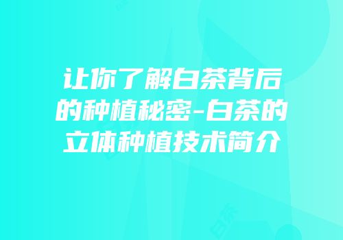 让你了解白茶背后的种植秘密-白茶的立体种植技术简介