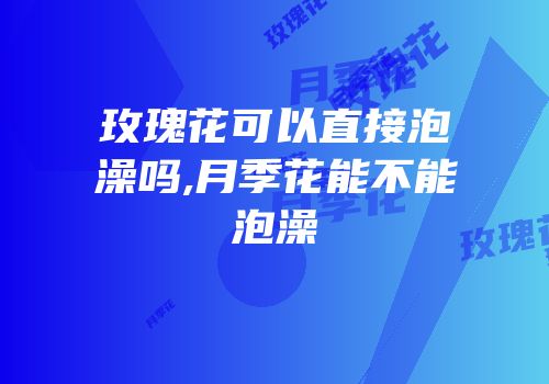 玫瑰花可以直接泡澡吗,月季花能不能泡澡