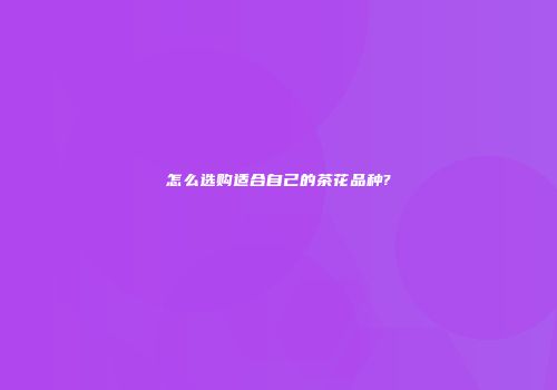怎么选购适合自己的茶花品种?