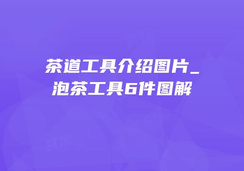 茶道工具介绍图片_泡茶工具6件图解