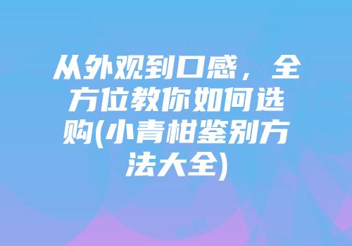 从外观到口感，全方位教你如何选购(小青柑鉴别方法大全)