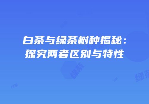 白茶与绿茶树种揭秘：探究两者区别与特性