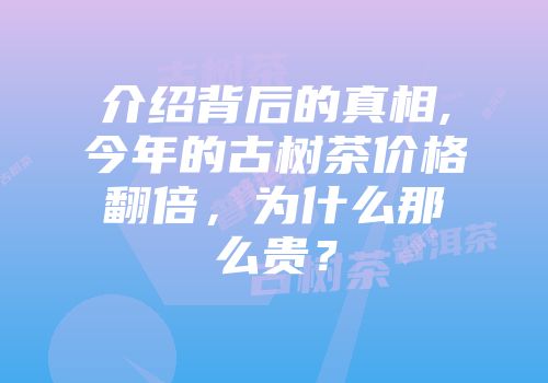 介绍背后的真相,今年的古树茶价格翻倍，为什么那么贵？