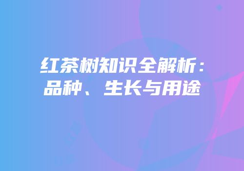 红茶树知识全解析：品种、生长与用途