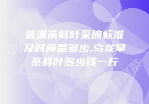 普洱茶鲜叶采摘标准及时间是多少,乌龙早茶鲜叶多少钱一斤