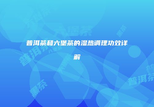 普洱茶和六堡茶的湿热调理功效详解