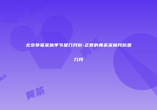 北京草莓采摘季节是几月份-正常的黄茶采摘月份是几月